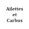 automobile ancienne Ailettes et Carbus