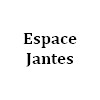 Jantes automobile Espace Jantes