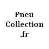 automobile ancienne Pneu Collection.fr